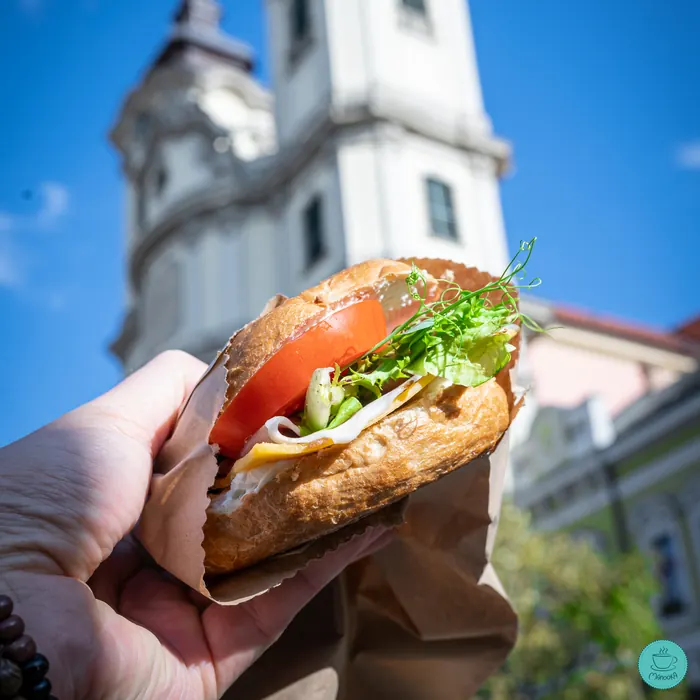 Burger a Manookából, a háttérben az egri Líceum tornya